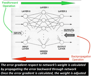 Diagram illustrating the feedforward and backpropagation operations in a neural network, showing layers for inputs, hidden layers, and outputs, with arrows indicating the flow of data and error correction.