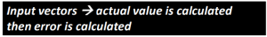 Text outlining the process of calculating the actual value from input vectors and then determining the error.