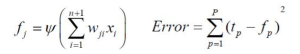 Mathematical representation of a neural network's output function and error calculation.