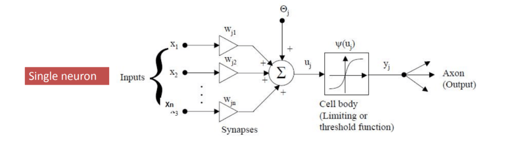 Diagram illustrating a single neuron model with inputs, synapses, cell body, and output axon.